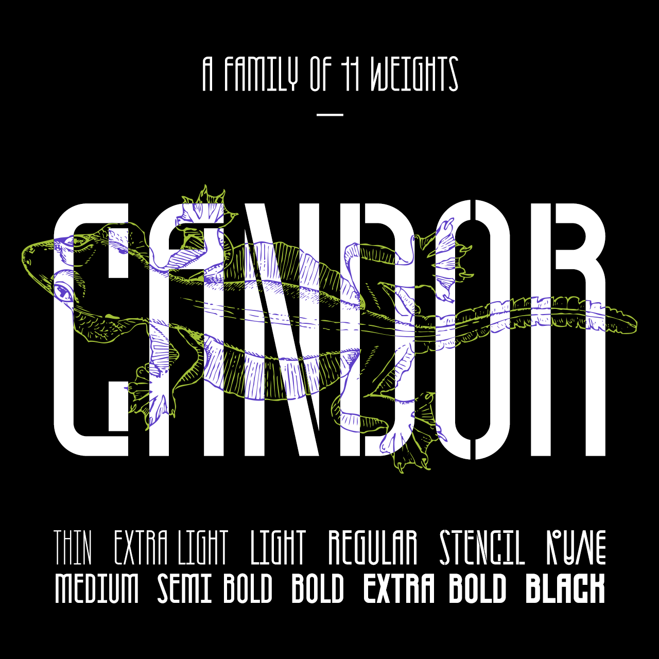 Candor-gumroad-v3